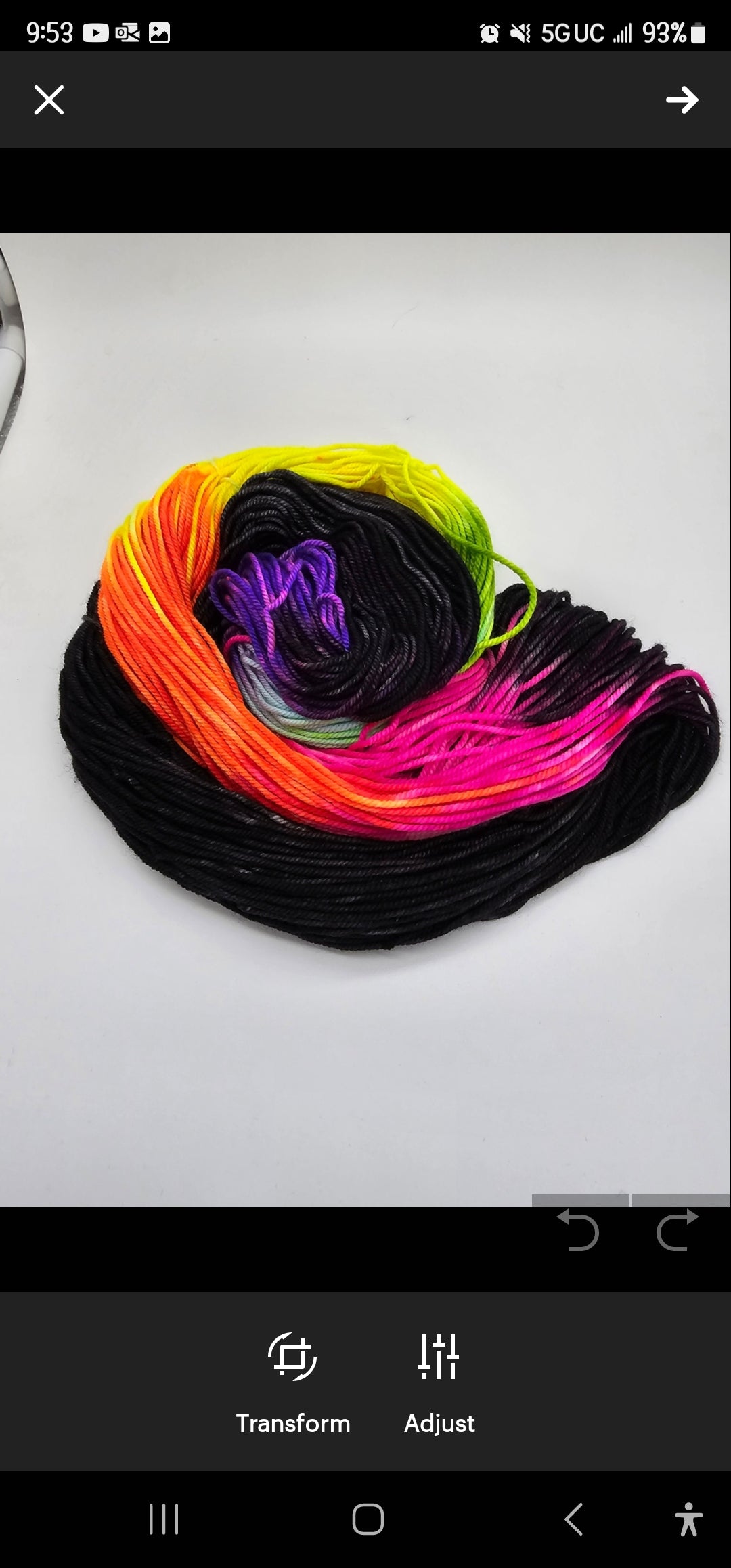 Rainbow pride