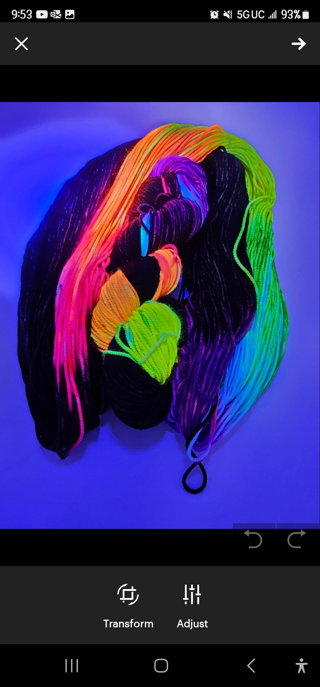 Rainbow pride